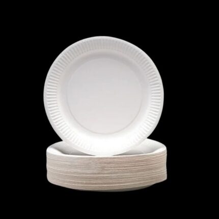 6" Paper Pizza Plates