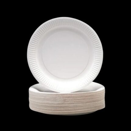 9" Paper Pizza Plates