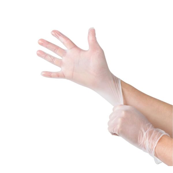 Large Clear Disposable Gloves Large Clear Disposable Gloves